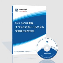 2019-2024年藿香正气丸投资潜力分析与竞争策略建议研究报告