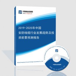 2019-2025年中国安防线缆行业发展趋势及投资前景预测报告