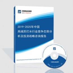 2019-2025年中国高端苏打水行业竞争态势分析及投资战略咨询报告